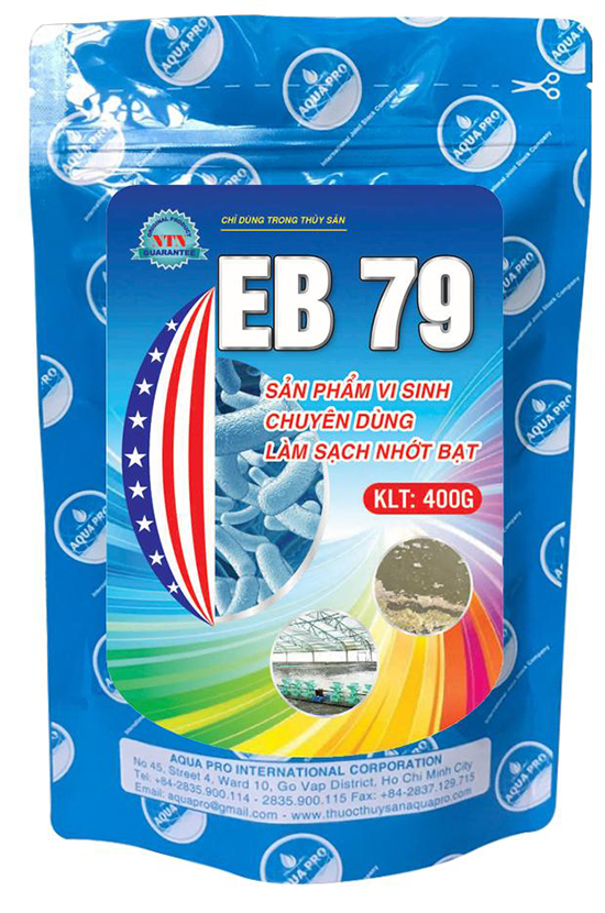 EB 79 (NTN)